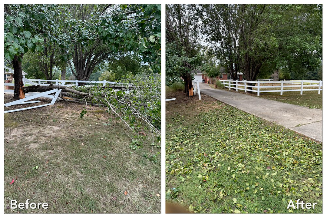 Tree Debris Removal & Storm Cleanup in Oxford, MS
